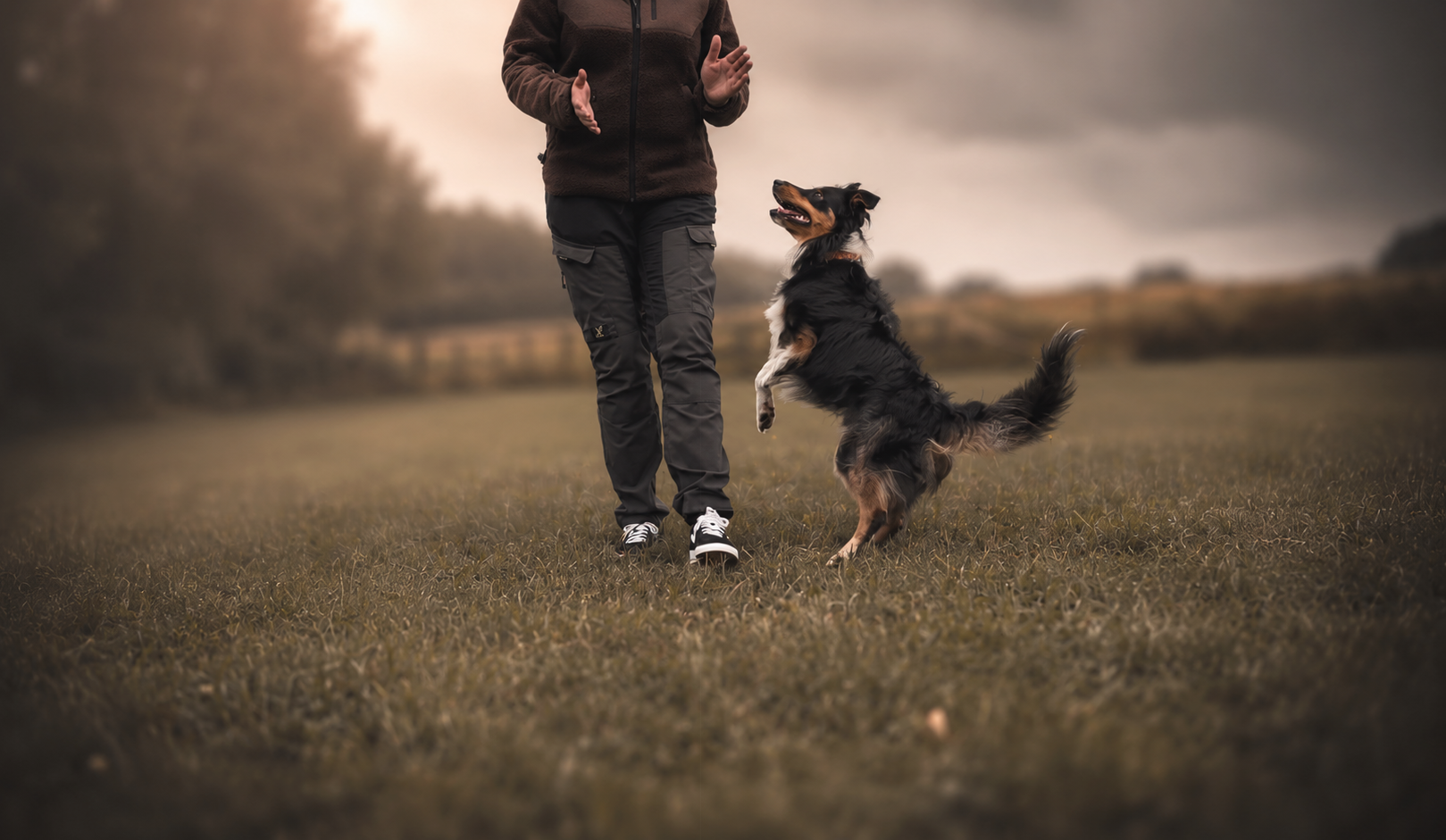 Dog training with handler